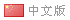中文版